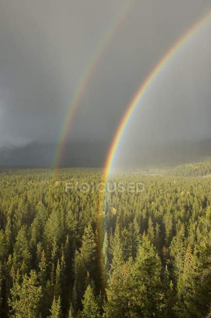 Arco-íris e chuva no topo da montanha no Parque Nacional Jasper, Alberta, Canadá — Fotografia de Stock