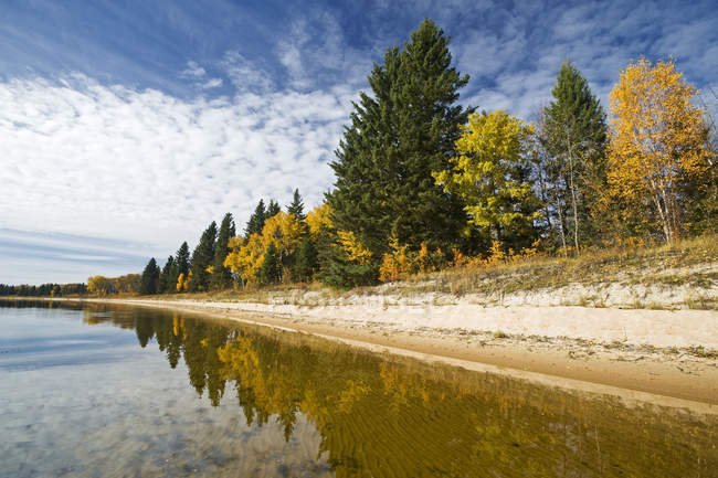 Autumnal woods on shore of Namekus Lake, Prince Albert National Park, Saskatchewan, Canada — Stock Photo