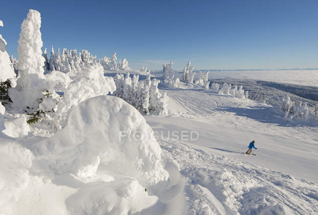 Ein Skifahrer zwischen Schneegeistern auf einer präparierten Piste in einer wunderschönen Umgebung bei Sonnenaufgang am Gipfel des Sun Peaks Resort, Thompson Okangan Region, British Columbia, Kanada — Stockfoto