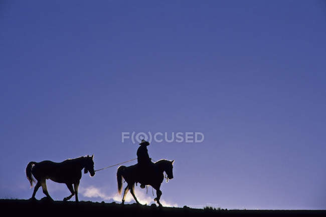 Siluetas de vaquero con caballos contra el cielo, South Chilcotin Provincial Park, Columbia Británica, Canadá - foto de stock