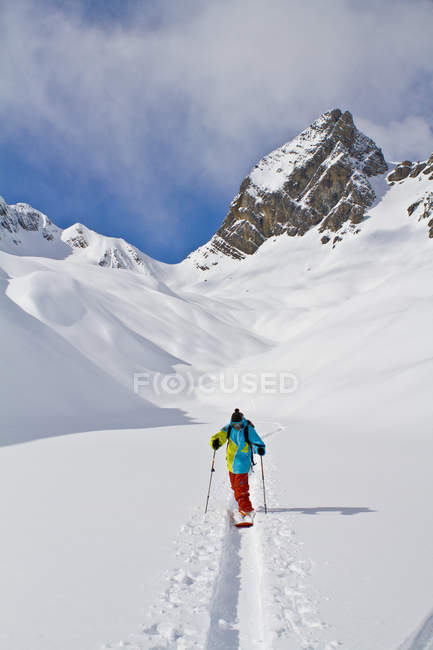 Мужчина сплитбордист с помощью полюсов в задней части страны Icefall Lodge, Golden, Британская Колумбия, Канада — стоковое фото