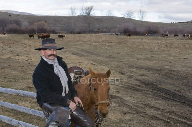 Cowboy com cavalo descansando por cerca enquanto observa vacas no rancho perto de Merritt, Colúmbia Britânica, Canadá — Fotografia de Stock