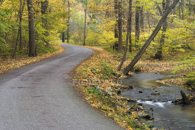 Sulphur Springs strada nella foresta di Twelve Mile Creek, Pelham, Ontario, Canada — Foto stock