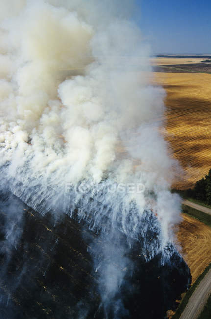 Vista aérea de cultivos residuales quemados en Manitoba, Canadá . - foto de stock