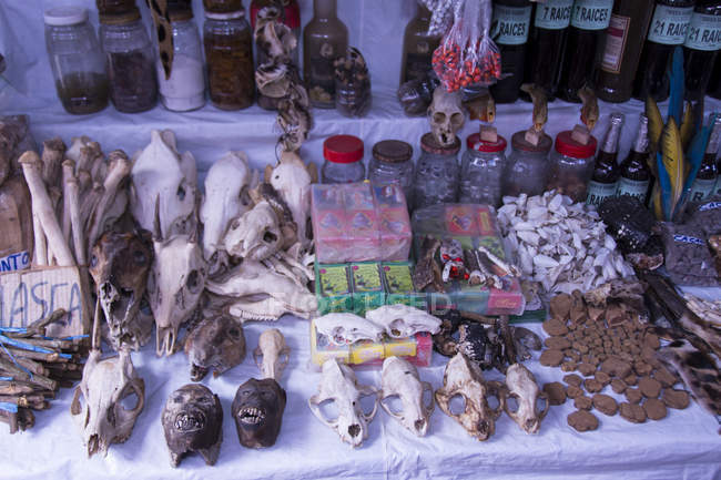 Divers produits et crânes sur la scène du marché d'Iquitos au Pérou — Photo de stock
