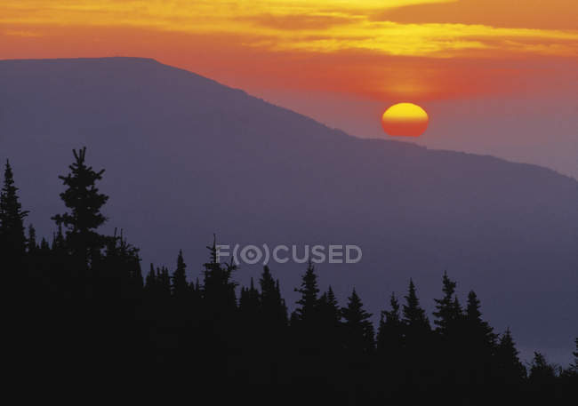 Puesta de sol sobre bosques y montañas en Willmore Wilderness Park, Alberta, Canadá - foto de stock