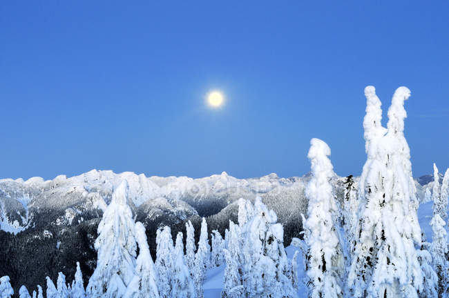Monduntergang bei Sonnenaufgang im Winter, Mount Seymour Provinzpark, Britisch Columbia, Kanada — Stockfoto