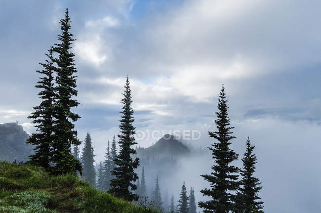 Cloud strewn mountain ridge of Deer Park, Olympic National Park, Washington, USA — Stock Photo