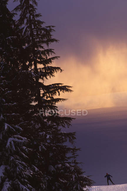 Sci nordico presso il comprensorio sciistico Cypress Mountain, Hollyburn Mountain, Cypress Bowl, West Vancouver, British Columbia, Canada — Foto stock