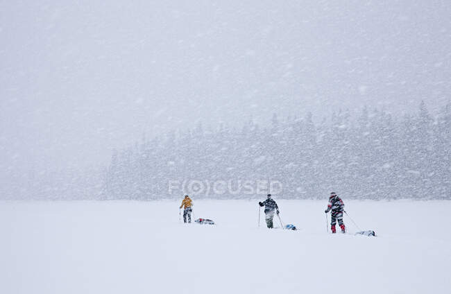 Горнолыжный тур, Катание на лыжах, Боурон Лейк Парк, Британская Колумбия, Канада — стоковое фото