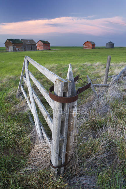 Старые ржавые здания и деревянные ворота в поле возле Лидера, Фачеван, Канада — стоковое фото