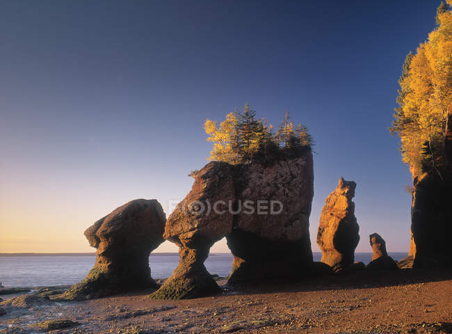 Formaciones rocosas de Hopewell Rocks en la orilla de la Bahía de Fundy, Hopewell Rocks Provincial Park, New Brunswick, Canadá - foto de stock