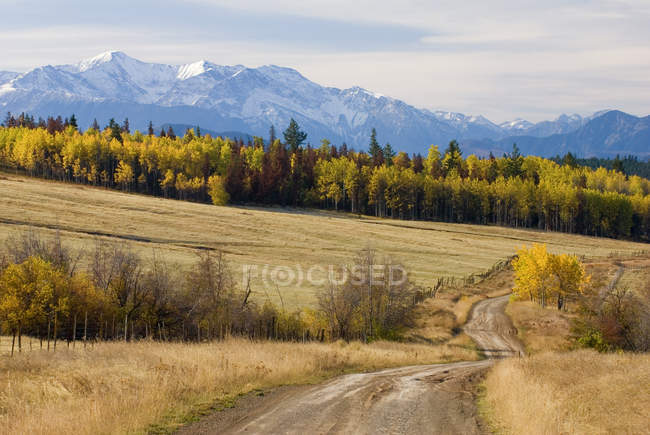 Forest in autumnal foliage and Coast Mountains near Clinton, British Columbia, Canada. — Stock Photo