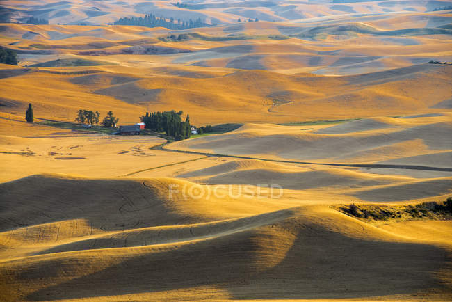 Farm surrounded with rolling hills at sunset in Palouse, Washington State, USA. — Stock Photo