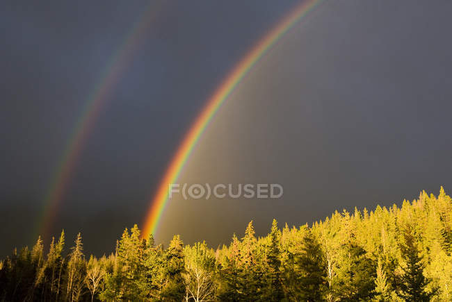 Doble arco iris durante la tormenta en el Parque Nacional Banff en Alberta, Canadá . - foto de stock