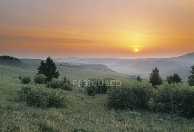Sonnenaufgang über dem Grasland der Stachelschweinhügel, alberta, canada. — Stockfoto
