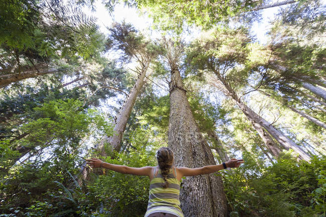 Young woman looking up in old-growth western hemlock forest at China Beach in Juan de Fuca Provincal Park, Canada. — Stock Photo