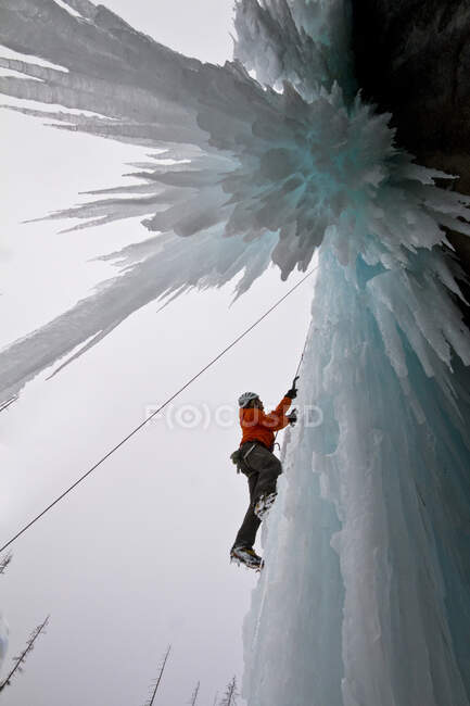 Jeune homme escalade sur glace dans le parc national Banff près de Banff, Alberta, Canada. — Photo de stock