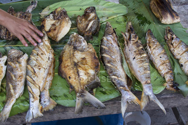 Fried fish and person hand in market scene of Iquitos in Peru — Stock Photo