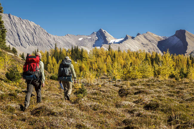 Deux randonneurs de randonnée pédestre près de Baker Lake dans la région sauvage Skoki du parc national Banff, Alberta Canada. Modèle publié — Photo de stock