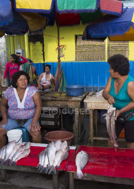 Women at fish stall in market scene of Iquitos in Peru — Stock Photo