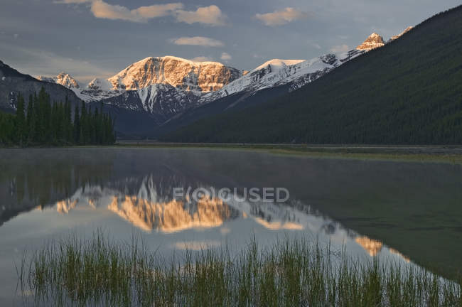 Гора Китченер, що відображають у ставку, Національний парк Джаспер, Альберта, Канада — стокове фото