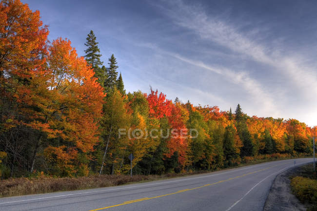 Autostrada lungo Algonquin Park in autunno, Ontario, Canada — Foto stock