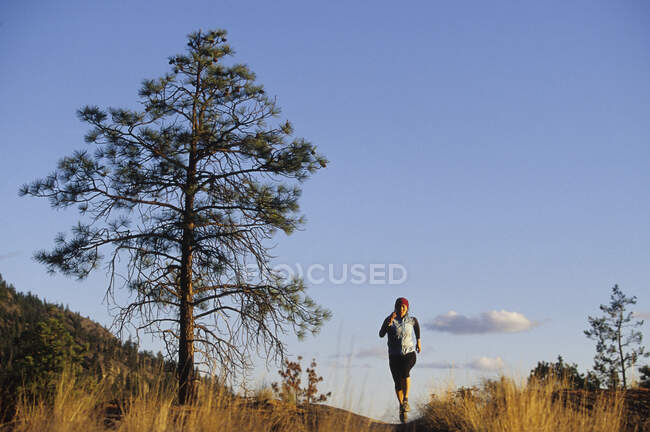 Женщина бежит по вершине холма в Пентиктоне, Британская Колумбия, Канада. — стоковое фото