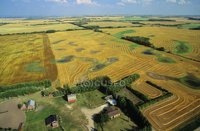 Escena rural aérea de tierras de cultivo de saskatchewan, Canadá . - foto de stock