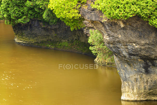 Formación de rocas sedimentarias en Elora Gorge, Elora, Ontario, Canadá - foto de stock