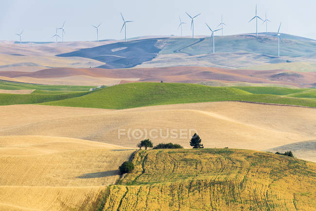 Rolling hills and windmills working in Palouse, Washington State, USA. — Stock Photo