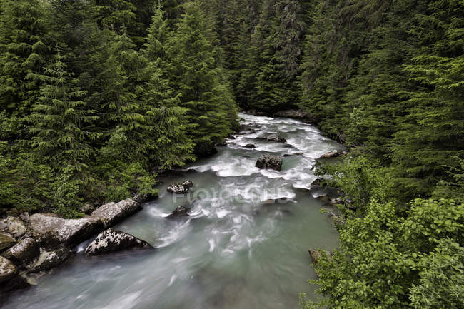 Regenwald und Gletscherfluss des Bellacoola-Tals, Britische Kolumbia, Kanada. — Stockfoto