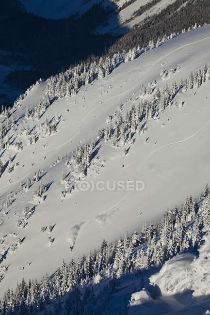 Backcountry snowboarder splitboarding en Kicking Horse Resort, Golden, Columbia Británica, Canadá - foto de stock