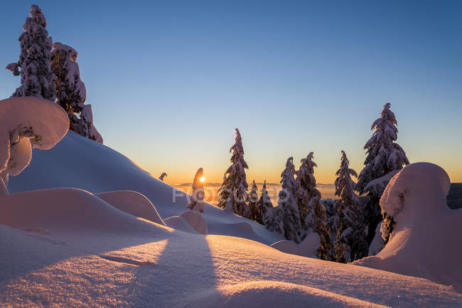 Wintersonnenuntergang im mount seymour provincial park, britisch columbia, canada — Stockfoto
