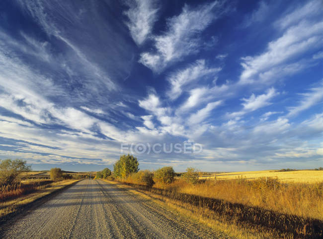 Carretera de campo en la zona agrícola cerca de Bottrel, Alberta, Canadá
. - foto de stock
