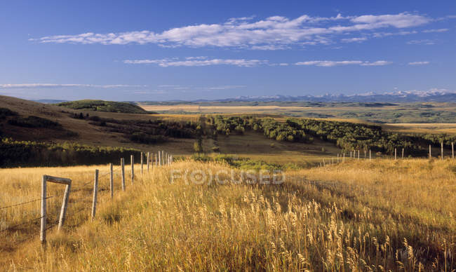 Paesaggio rurale vicino a Cochrane, Alberta, Canada — Foto stock