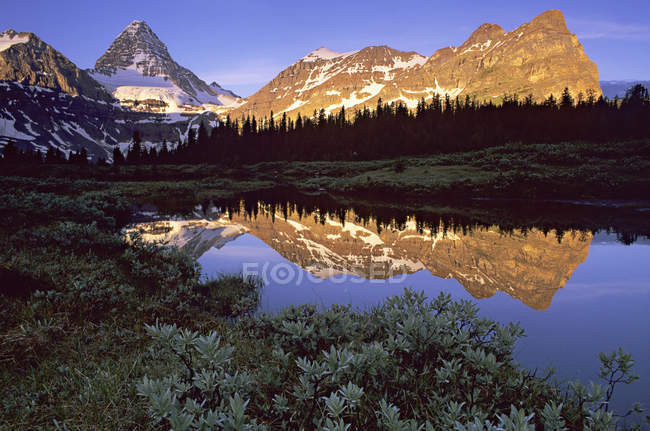 Mount Assiniboine reflecting in lake in Mount Assiniboine Provincial Park, Canada — Stock Photo