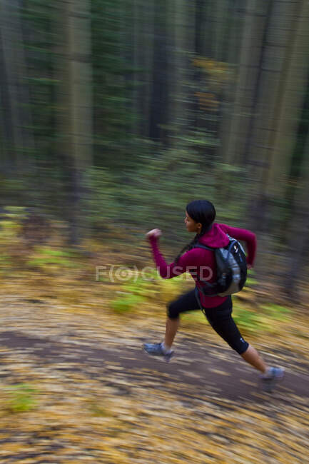 A young, fit woman trail running the Highline trail in Canmore, AB — Stock Photo