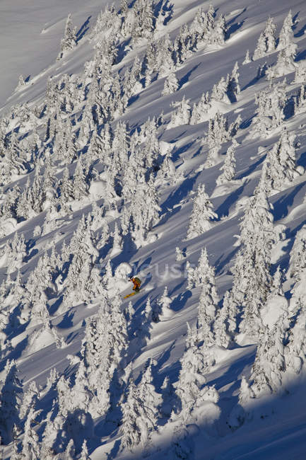 Человек катается на лыжах через снегопадов в Kicking Horse Resort, Голден, Британская Колумбия, Канада — стоковое фото