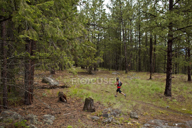 Sentiero femminile che corre nella foresta di Penticton, Columbia Britannica, Canada — Foto stock