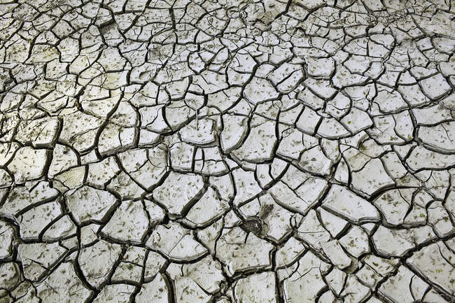 Boue d'argile fissurée dans le désert, cadre complet — Photo de stock