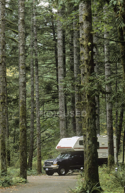 Cowichan River resort con camión y autocaravana, Vancouver Island, Columbia Británica, Canadá . - foto de stock