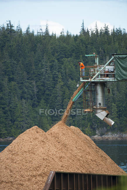 Homem trabalhando em máquinas de carregamento de chips em Kokish River, Beaver Cove, British Columbia — Fotografia de Stock