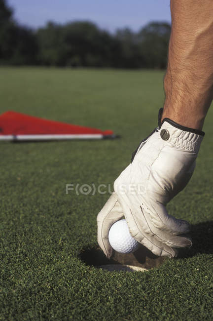 Golfer hand removing pull from cup, British Columbia, Canada. — Stock Photo