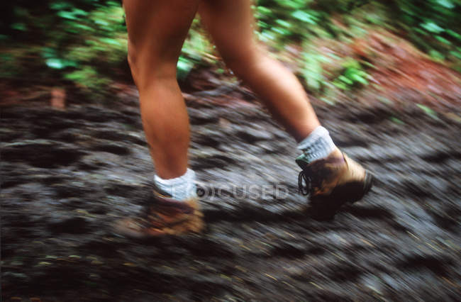 Frauenbeine wandern auf schlammigem Pfad im Wald — Stockfoto