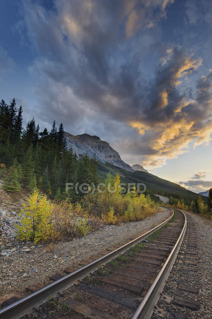 Chemin de fer dans le parc national Yoho, Colombie-Britannique, Canada — Photo de stock
