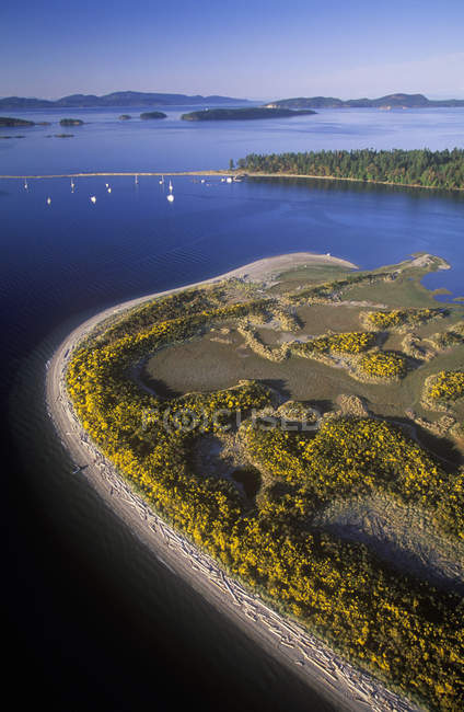 Aerial view of sailboats at Sidney Spit of Vancouver Island, British Columbia, Canada. — Stock Photo