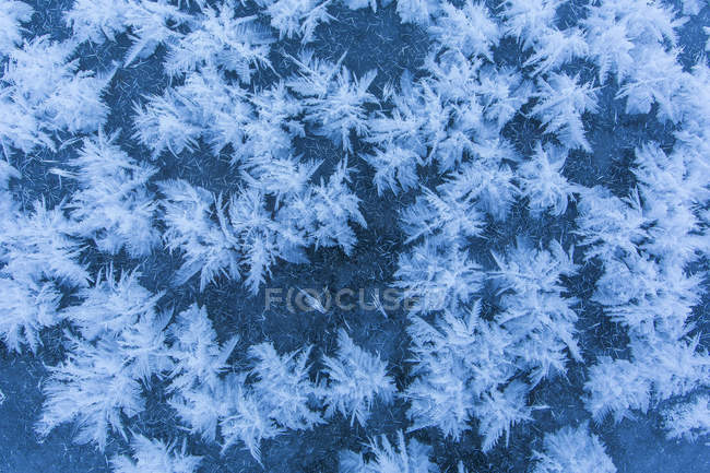 Patrón de cristales de hielo en el hielo del lago en invierno - foto de stock