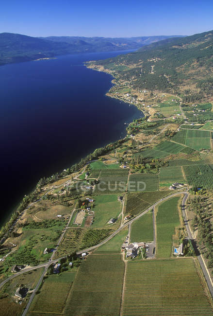 Aerial view of vineyards and Okanagan Lake, British Columbia, Canada. — Stock Photo