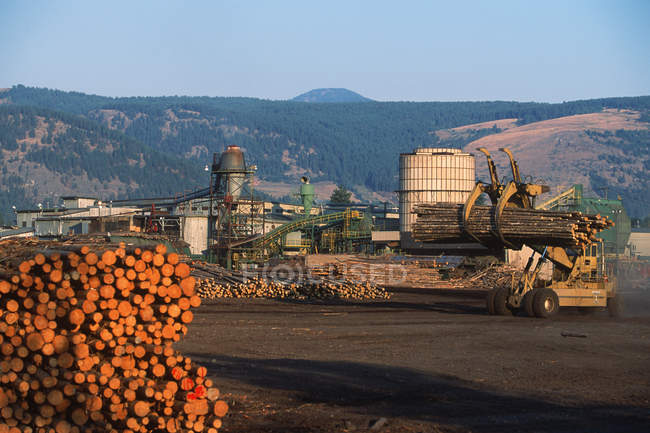 Interior of Grand Forks lumber mill with offloading logging truck, British Columbia, Canada. — Stock Photo